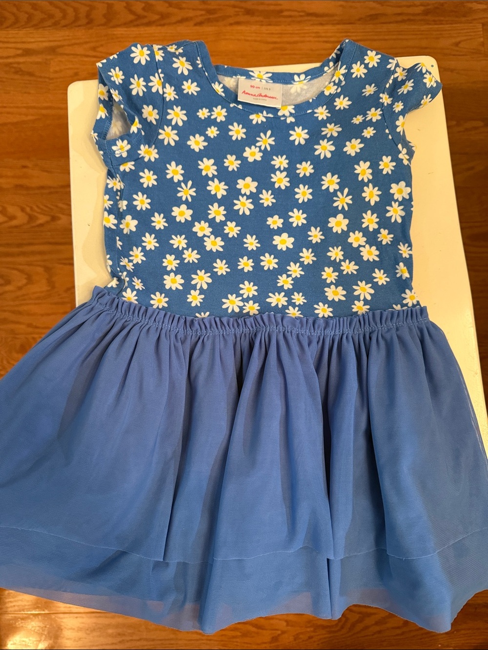 Hanna Andersson Blue Daisy Print Dress with Blue Tulle Skirt